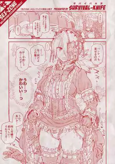 Sei ZONE - SEX ZONE Melonbooks Tokuten 4P Leaflet