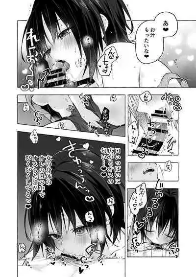 TS Akira-kun no Seiseikatsu Soushuuhen