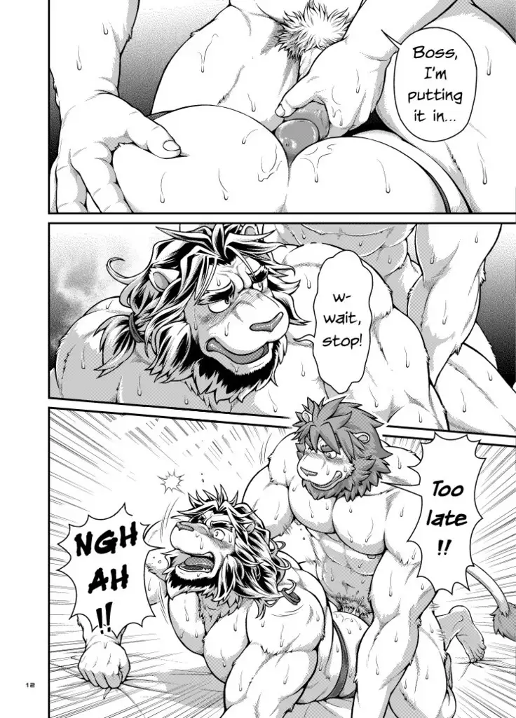 9ANIMALS ver.3.0 KING LION