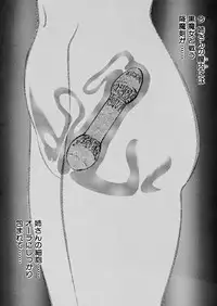 [Eiri Kiku] Ingyaku Majyou