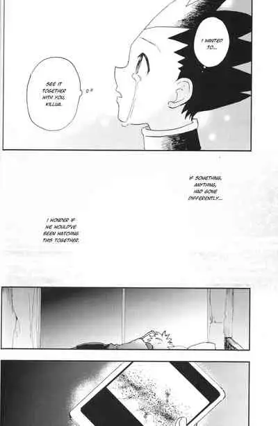 (C86) [Irori (Yui)] Ushiro no Shoumen (Hunter x Hunter) [English] [Willeke4439]