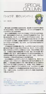 Super Real Mahjong Visual Fan Book Perfect Collection