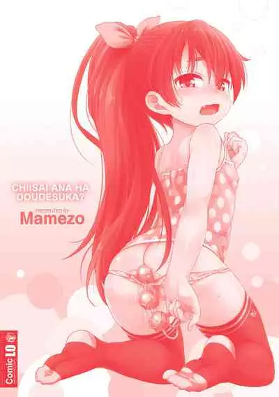 Chiisai Ana wa Dou desu ka? | 要来点小洞洞吗?