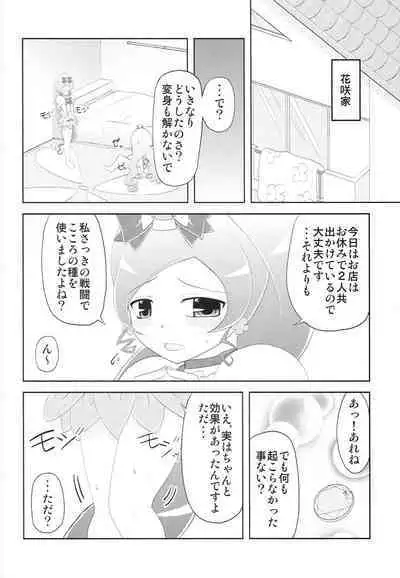 (C79) [Yumeoikyounouta (Tukusi Hirokazu)] BloMari Party NOW!! (HeartCatch PreCure!)