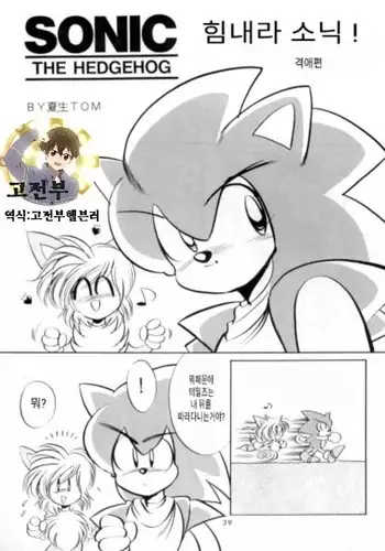 Do Your Best, Sonic!