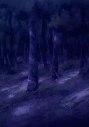 Shion ~Zankoku na Mahou no Tenshi~