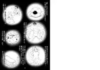 [Art Jam] 種鎮めの巫女～生贄の夜～