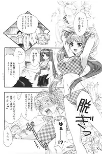 Comic Men's Young 2006-12