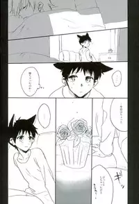 (C85) [Yaranaika (Nakamura Q)] RING RING MID NIGHTS (Neon Genesis Evangelion)