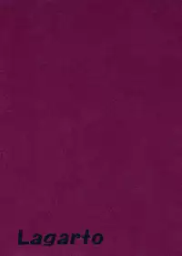 (C89) [Lagarto (Aida Mai)] Kago no Naka no Kinshijaku