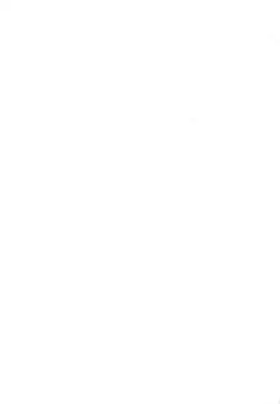 Kore ga Kitakami Ura Matsuri | This is The Kitakami Secret Festival