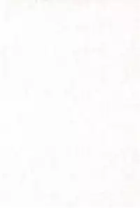 (CR23) [PHOENIX PROJECT (Kamikaze Makoto)] Okosama Lunch Original 1