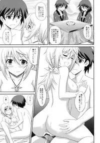(COMIC1☆5) [CROSS-DO (Masakichi)] Infinite Sex (Infinite Stratos)