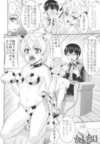 (C95) [TSF no F (Various)] TSF no F no Hon Sono 5