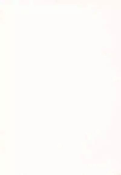 Kanoka Challenge_plot 2