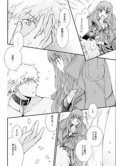 (C90) [Ahoge (Satsuki)] Itsuka no Mirai to Kako no Yume (Fate/EXTRA CCC)