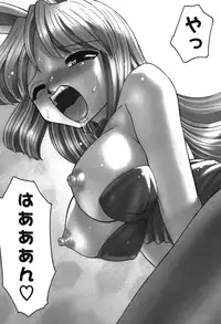 [Mizuki Hitoshi] Innyuu Syoujyo