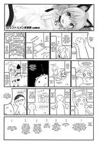 (C92) [Kedama Gyuunyuu (Tamano Kedama)] FLANEX (Touhou Project) [English] [Cecilbk]