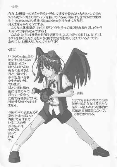 Triple Fighter Mitsudomoe