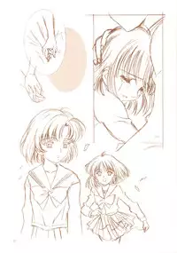 (C69) [Hen Rei Kai (Kawarajima Koh)] AmiHota!! Side:D (Sailor Moon)