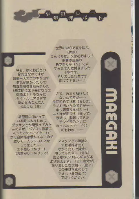 Shonen Hanzai Report