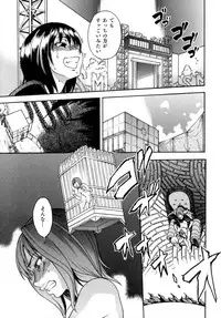 [Shiwasu no Okina] Shining Musume. 5. Five Sense of Love