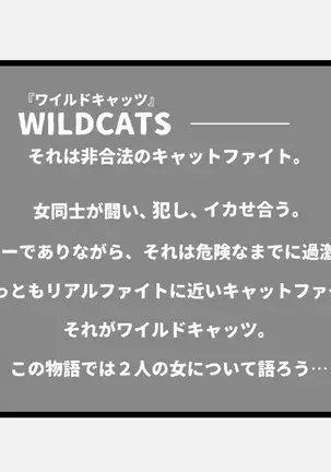WILDCATS ～ふたなり地下バトル