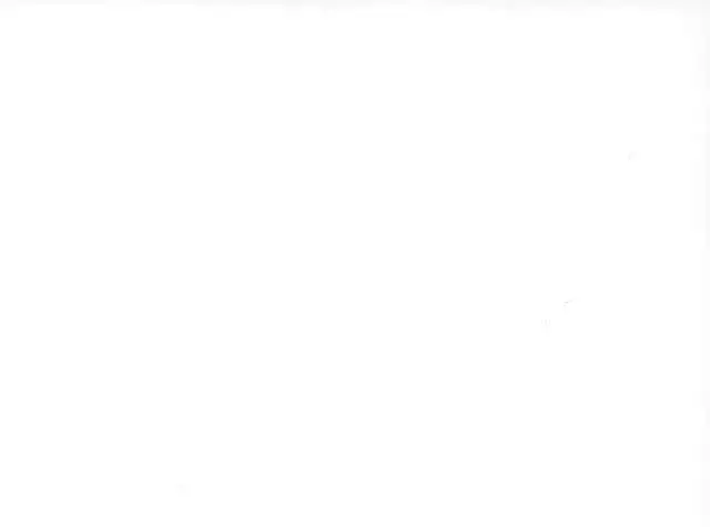 Kimi ha Boku no Kibou