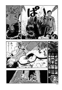 [Yamamoto Johanne] J.P.S - Justice & Peace Spirits