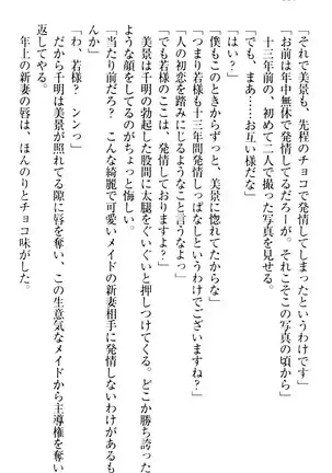 年上メイドの新婚日記