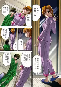 [Hindenburg] Itsuka Imouto o Okashisou na Ore no Nikuyoku [Digital]