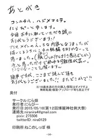 (Reitaisai 12) [Nirabatake (Nirapii)] Alice in Nightmare (Touhou Project) [English] [SMDC]