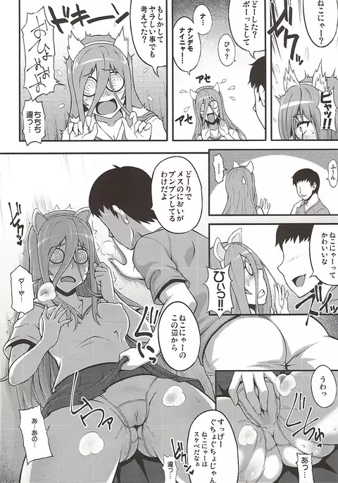 Hotondo OO demo Neko