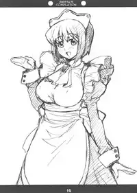 (C72) [Mix Fry (Takurou)] Louisem (Zero no Tsukaima) [English]