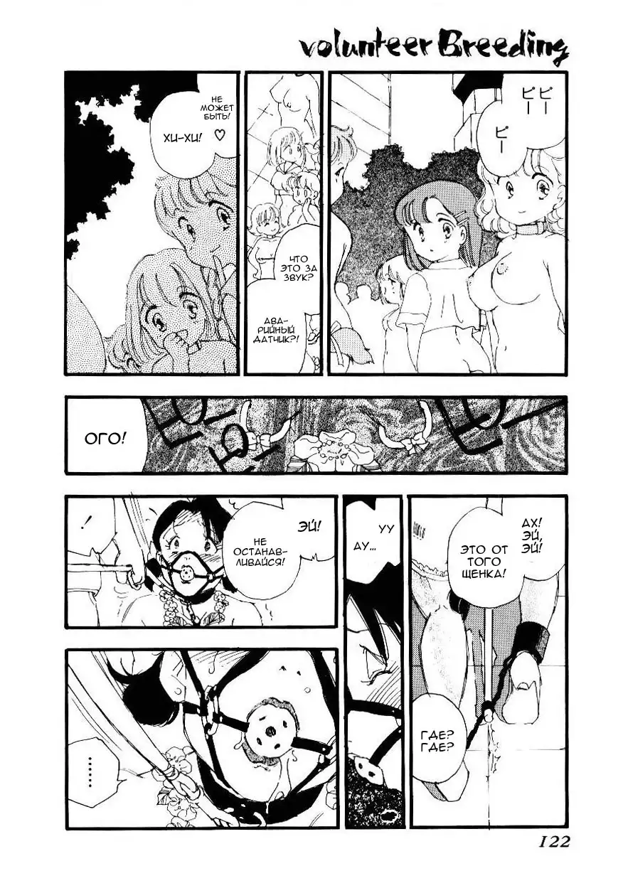Volunteer Breeding Ch.6