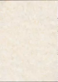 (CR31) [KEMOKOMOYA (Komori Kei)] puipuipu- sanshiki (Final Fantasy III)