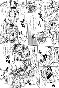 (C73) [Luciferhood (Uchoten)] Freerider (Gundam 00)