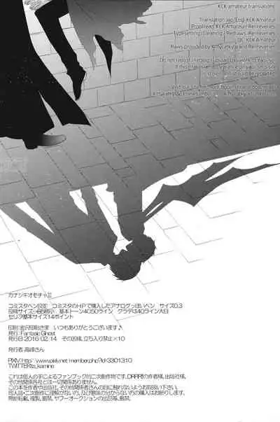 [Tantric Twin/Fantastic Ghost (Takamine-san)] Sad Toy 3 (Durarara) [English] {KCK-Amateur}