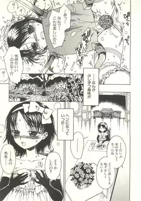 Shounen Ai no Bigaku EX - Josou Shounen -