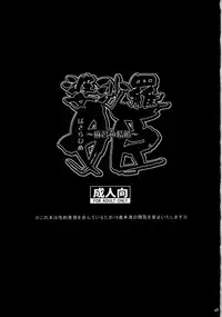 (SC38) [Todd Special (Todd Oyamada)] Basara Hime (Sengoku Basara) [English]