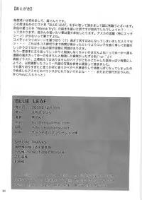 (C79) [Tengu no Tsuzura (Kuro Tengu)] BLUE LEAF (Neon Genesis Evangelion)