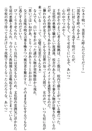 年上メイドの新婚日記