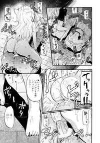 COMIC PLUM DX 13 [Digital]