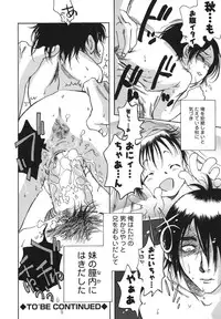 [Yoshida Furawa] Flower EXpress