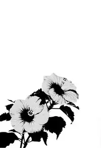 (SPARK8) [Junai Meringue-don (Kijima Hyougo)] Onegai!! Mako-chan (Free!)