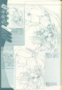 (C62) [Synthetic Garden (Miwa Yoshikazu)] Pre Conference 2002 (Various)