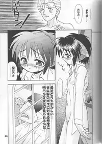 [Tenny Le Tai] Neko Maid File