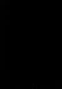 (C89) [Ash Wing (Makuro)] BF IV [English] [mysterymeat3]