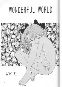 Wonderful World