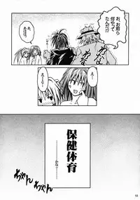 [S-Plus (SHIYAMI)] Hime no Kyuujitsu (Black Cat)